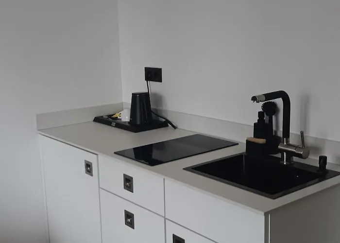 142 Salinenparc Design Budget *